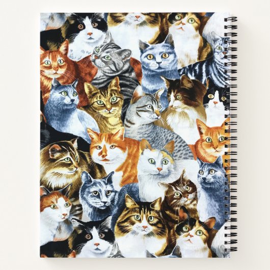 De Clowder van de CATS Notitieboek (Achterkant)