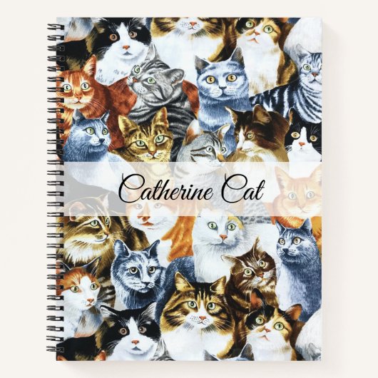 De Clowder van de CATS Notitieboek (Voorkant)