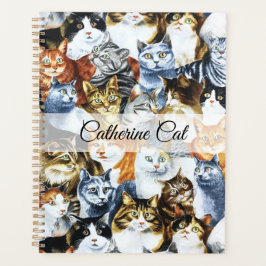 De Clowder van de CATS Planner