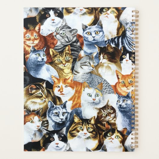 De Clowder van de CATS Planner (Achterkant)