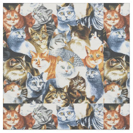 De Clowder van de CATS Stof
