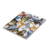 De Clowder van de CATS Tegeltje (Zijkant)