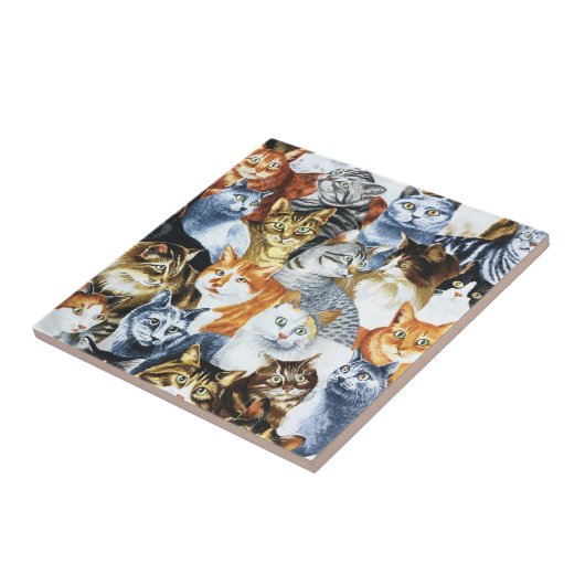 De Clowder van de CATS Tegeltje (Zijkant)