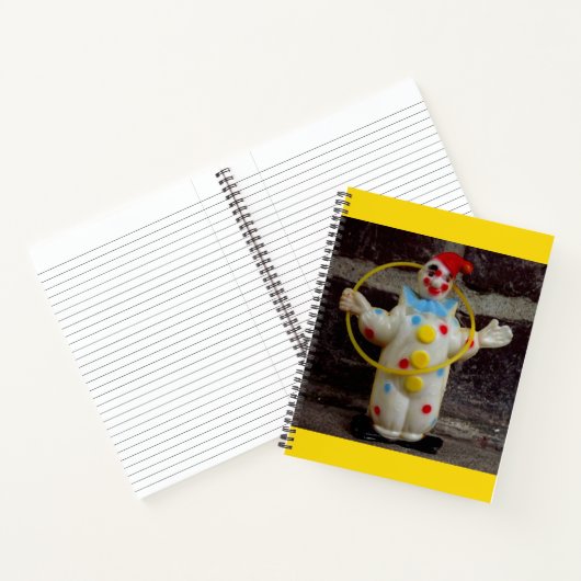 De clown notitieboek (Binnen)
