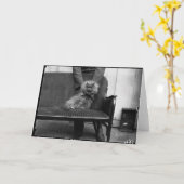 De Club van de Kat van de tentoonstelling - Kaart (Gele Bloem)