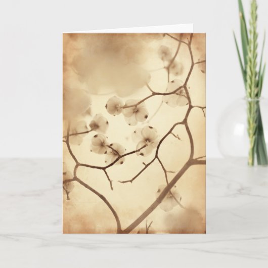 De Cluster van de kornoelje Kaart (Voorkant)