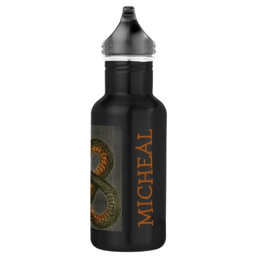 De Coachwhip-slangenwaterfles Waterfles (Rechts)