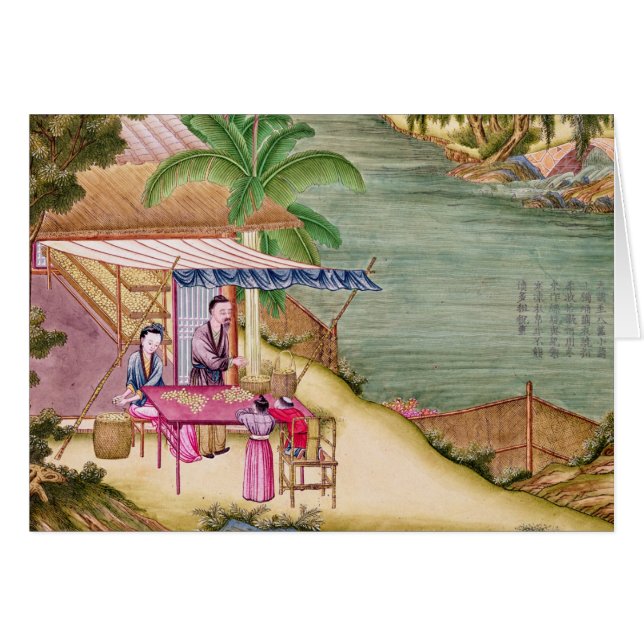 De cocons sorteren (Voorkant Horizontaal)