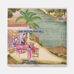 De cocons sorteren magneet