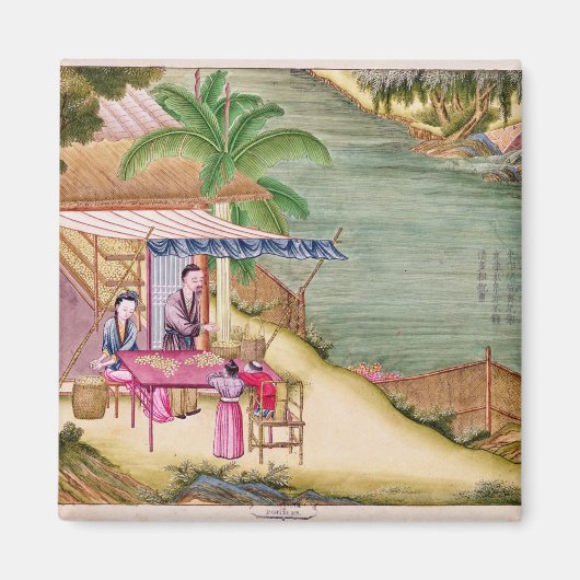 De cocons sorteren magneet (Voorkant)