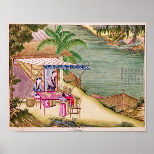 De cocons sorteren poster (Voorkant)