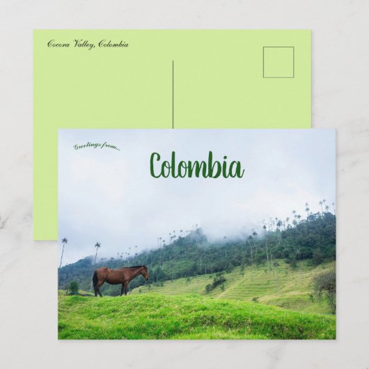 De Cocora vallei in Colombia Briefkaart (Voorkant / Achterkant)