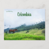 De Cocora vallei in Colombia Briefkaart (Voorkant)