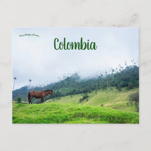 De Cocora vallei in Colombia Briefkaart (Voorkant)