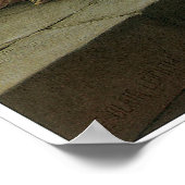 De colade poster (Hoek)