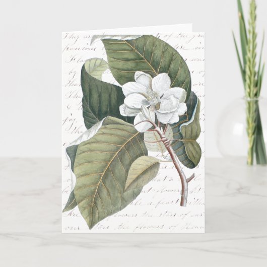 De Collage van de Magnolia van Catesby van het Kaart (Voorkant)