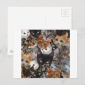 De Collage van het kat Briefkaart (Voorkant / Achterkant)