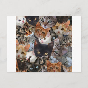 De Collage van het kat Briefkaart