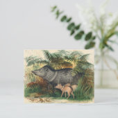De Collared Peccary van Joseph Wolf Briefkaart (Staand voorkant)