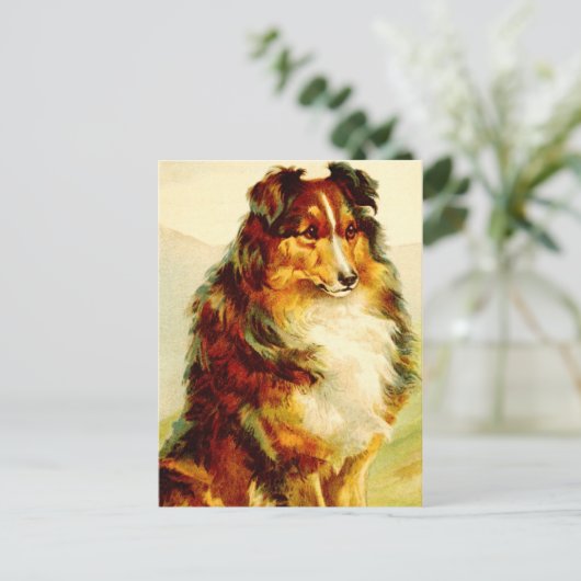 De Collie Briefkaart (Staand voorkant)