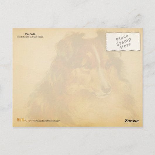 De Collie Briefkaart (Achterkant)