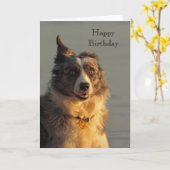 De Collie Dog van de grens loopt Fijne Verjaarkaar Kaart (Gele Bloem)
