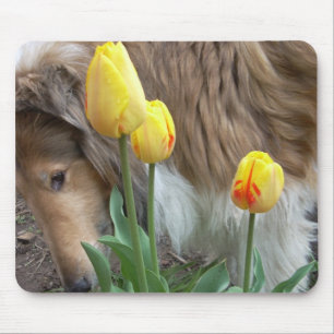 De Collie en de Tulpen Muismat