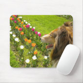 De Collie N Meer Tulps Muismat (Met muis)