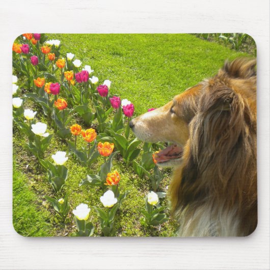 De Collie N Meer Tulps Muismat (Voorkant)