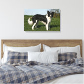 De Collie van de grens Canvas Afdruk (Insitu (Slaapkamer))