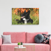 De Collie van de grens die neer het Leiden Canvas Afdruk (Insitu (Woonkamer))
