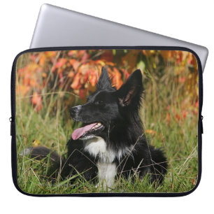 De Collie van de grens die neer het Leiden Laptop Sleeve
