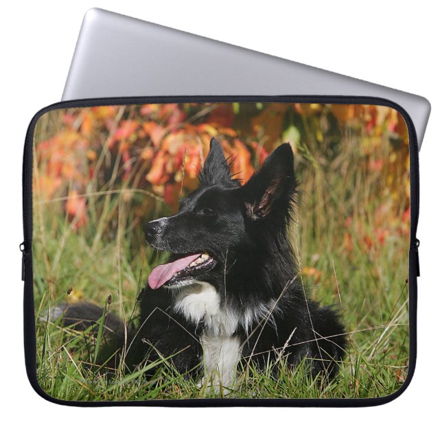 De Collie van de grens die neer het Leiden Laptop Sleeve (Voorkant)