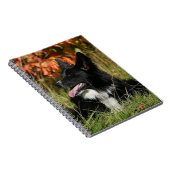 De Collie van de grens die neer het Leiden Notitieboek (Rechterzijde)