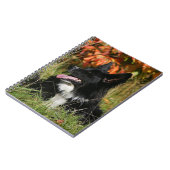 De Collie van de grens die neer het Leiden Notitieboek (Linkerzijde)