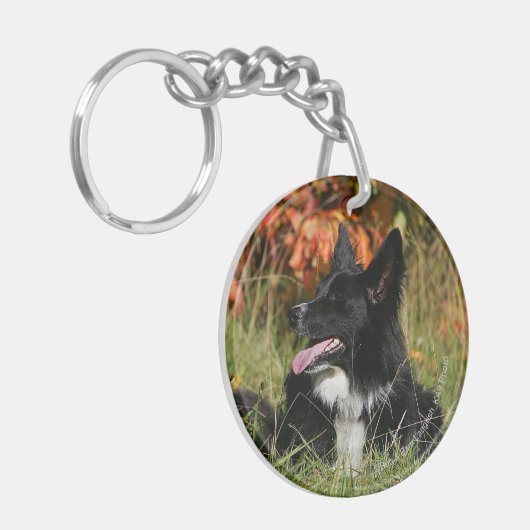 De Collie van de grens die neer het Leiden Sleutelhanger (Voorkant Links)