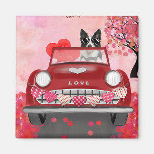 De Collie van de grens drijft Auto met Harten Vale Magneet