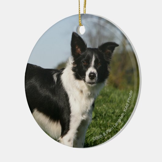 De Collie van de grens Keramisch Ornament (Links)