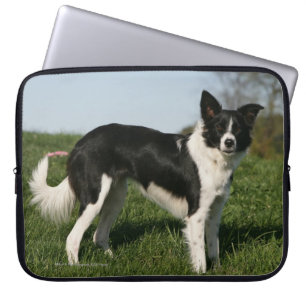 De Collie van de grens Laptop Sleeve