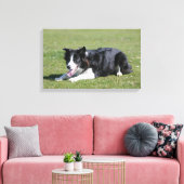 De Collie van de grens neer het Lagen Canvas Afdruk (Insitu (Woonkamer))