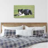 De Collie van de grens neer het Lagen Canvas Afdruk (Insitu (Slaapkamer))