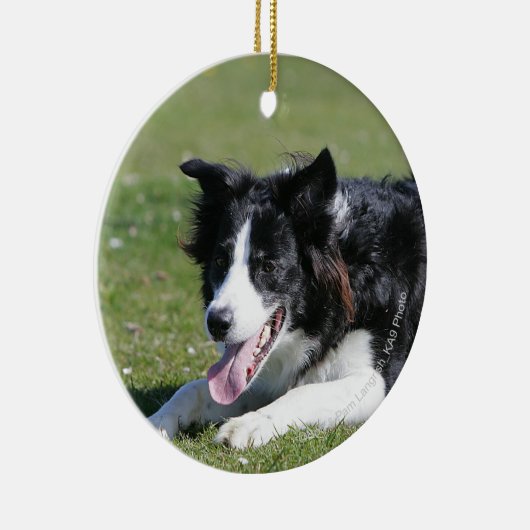 De Collie van de grens neer het Lagen Keramisch Ornament (Rechts)