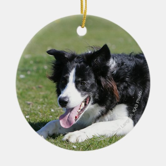 De Collie van de grens neer het Lagen Keramisch Ornament (Voorkant)