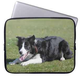 De Collie van de grens neer het Lagen Laptop Sleeve