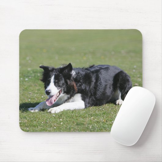 De Collie van de grens neer het Lagen Muismat (Met muis)