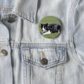 De Collie van de grens neer het Lagen Ronde Button 5,7 Cm (In situ)