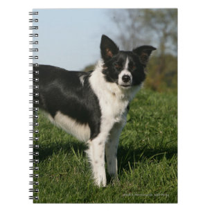 De Collie van de grens Notitieboek