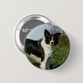 De Collie van de grens Ronde Button 5,7 Cm (Voorkant /achterkant)