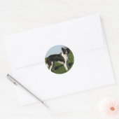 De Collie van de grens Ronde Sticker (Envelop)
