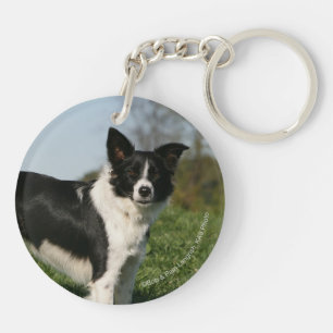 De Collie van de grens Sleutelhanger